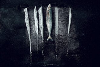 Den største fisken: den utrolige historien om Rabo de Peixe