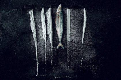 Den største fisken: den utrolige historien om Rabo de Peixe