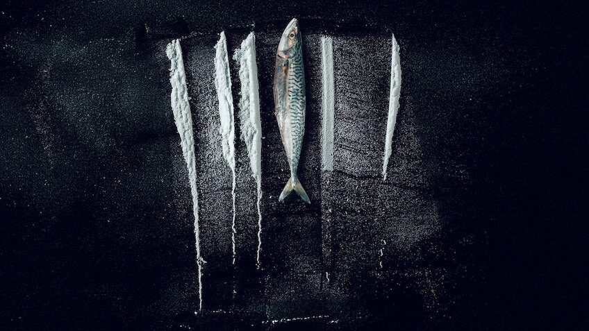 Den største fisken: den utrolige historien om Rabo de Peixe